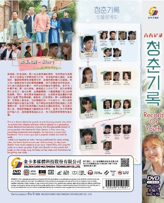 Record Of Youth 青春记录Korean TV Drama Series DVD Subalt