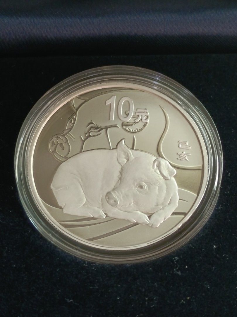 銀幣紀念幣2019 中國銀質999 純銀幣30克限量, 興趣及遊戲, 收藏品及
