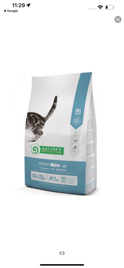 Natures online protection kitten