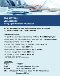 Accounting & tax related services 做账 & 报税服务