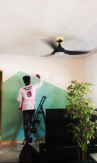 Affordable and professional Painter and painting service