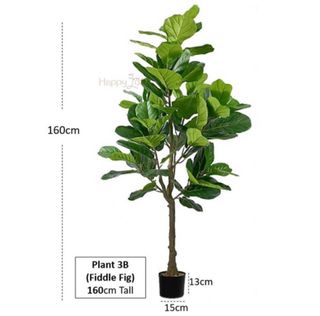 (Category: ) located in . Submitted by appletree2505 (Listing ID 1227068152, Image 1). Description: .