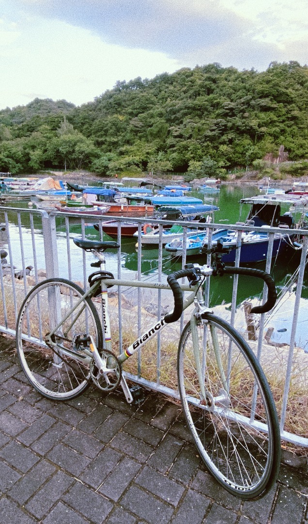 Bianchi pista gang green online