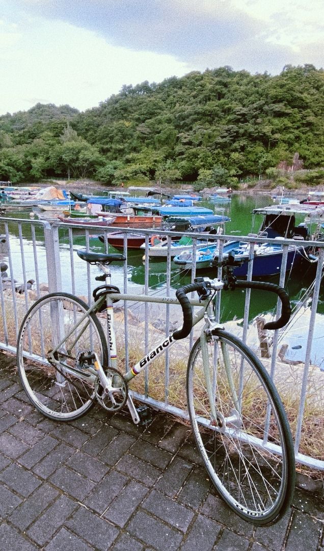Bianchi Pista Gang Green Bicycle Fixed Gear With Brake