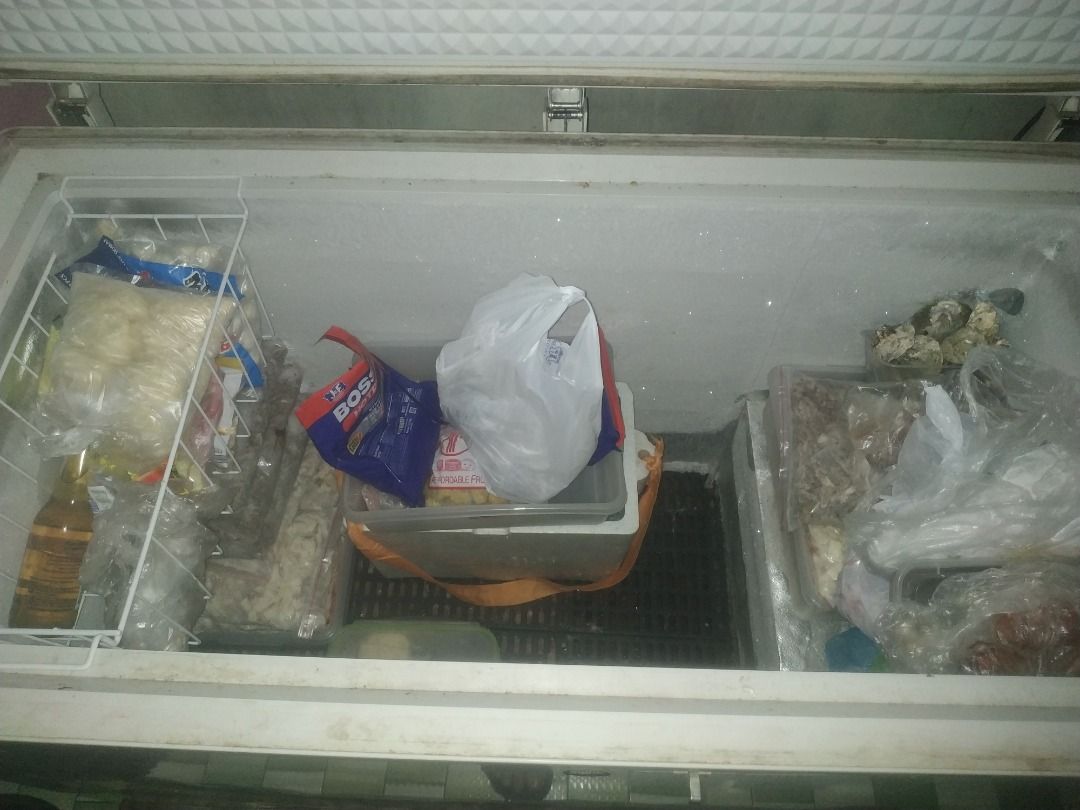 Chest type freezer, TV & Home Appliances, Kitchen Appliances ...