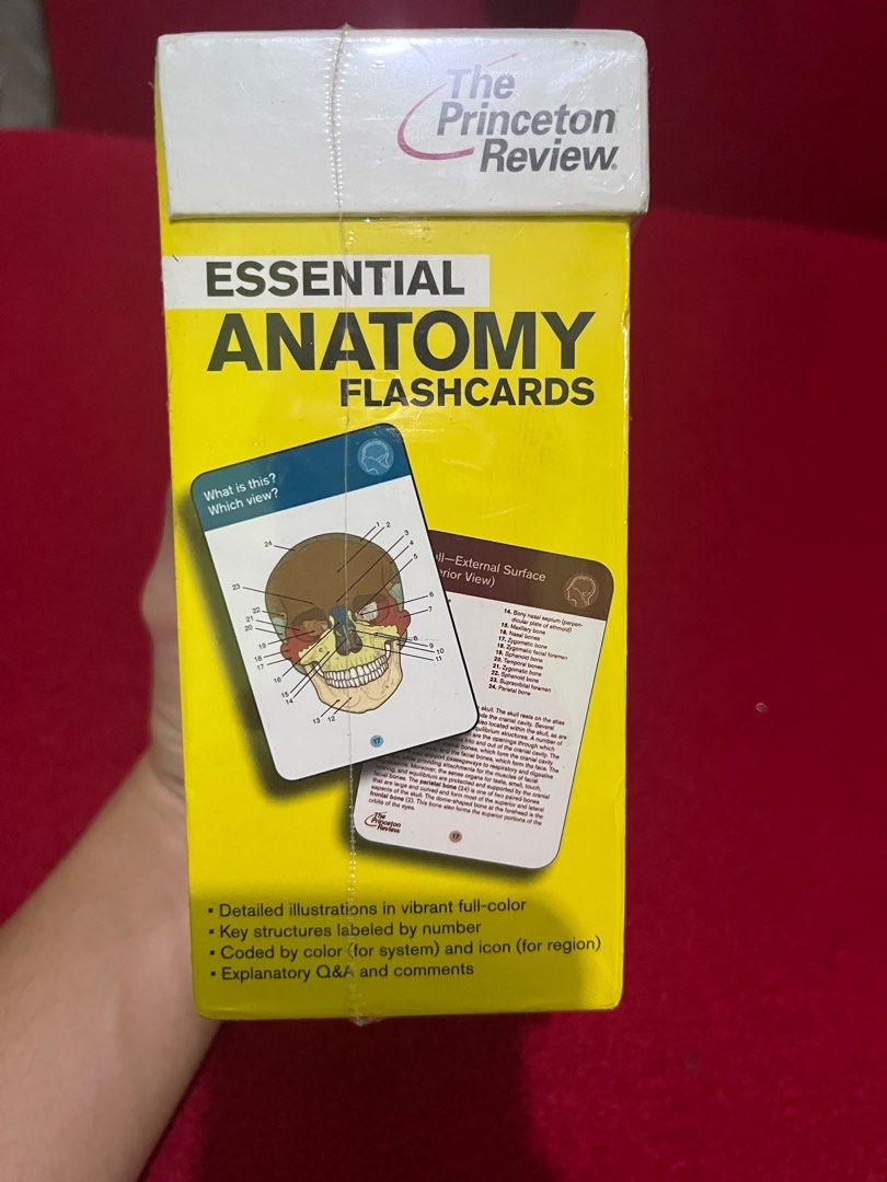 Essential anatomy flashcard, Buku & Alat Tulis, Majalah & Lainnya di