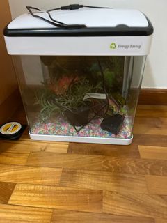 (Category: ) located in . Submitted by sgarindam (Listing ID 1226880974, Image 1). Description: .