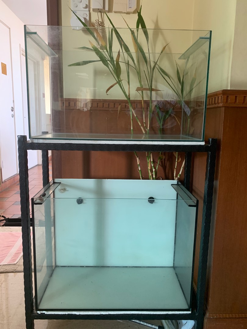 Fish Tanks and Rack for Sale, Pet Supplies, Homes & Other Pet ...