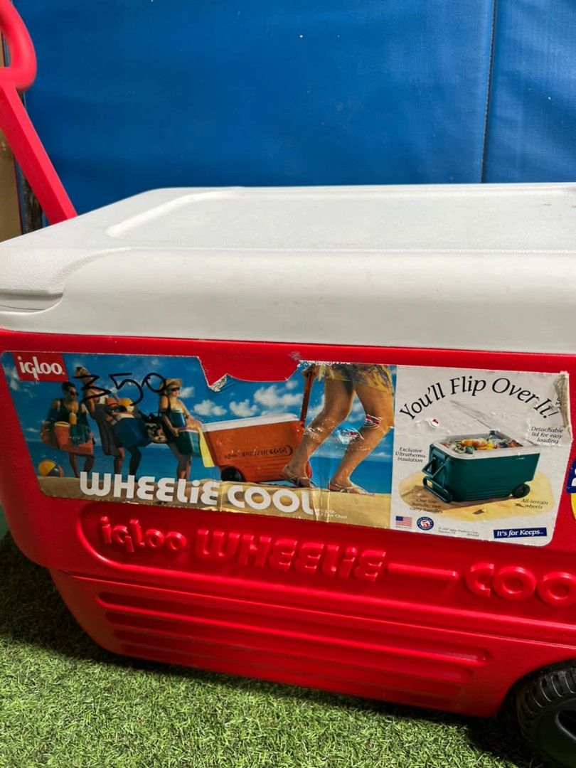 Igloo ice box, Sports Equipment, Hiking & Camping on Carousell