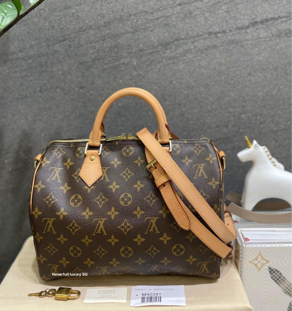 LV Bag Speedy 30, Luxury, Bags & Wallets on Carousell