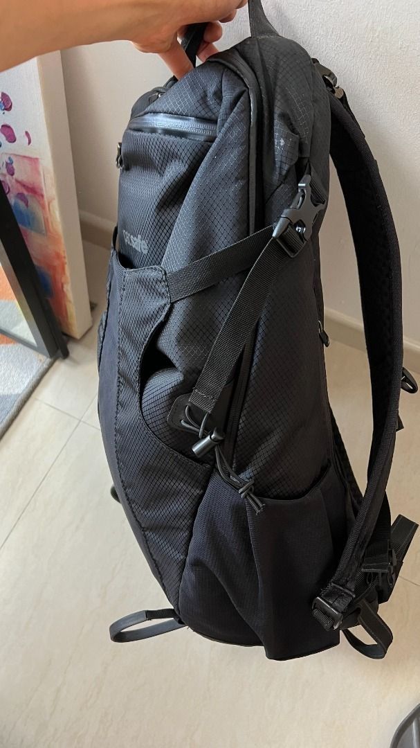 Pacsafe venturesafe x34 review store