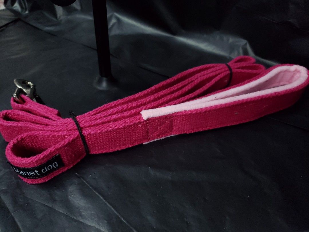 Planet dog cheap hemp leash