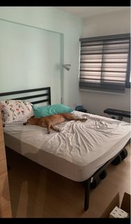 (Category: ) located in . Submitted by aiksil (Listing ID 1227037575, Image 1). Description: .