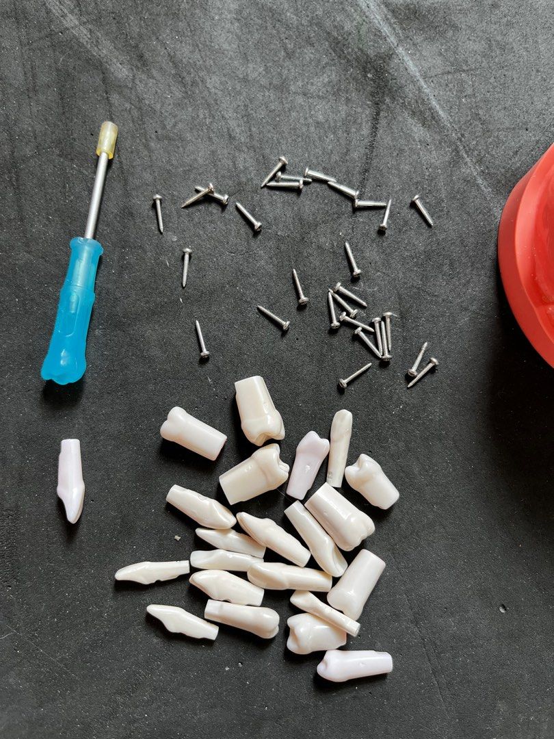 Typodont Jaw Model Set (with free typodont refills and screws with Typodont Jaw Model Set (with free typodont refills and screws with