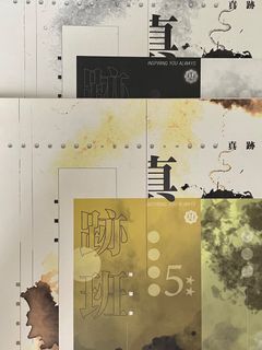 YY Lam 林溢欣 5** 真跡班 記描抒 DSE中文筆記