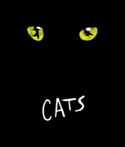 《讓票》2023 全本音樂劇貓CATS 原價讓票