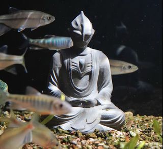 （分類：）位於 。 由 crystal0328 提交（商品編號 1227199431，圖片 1）。簡介： 。