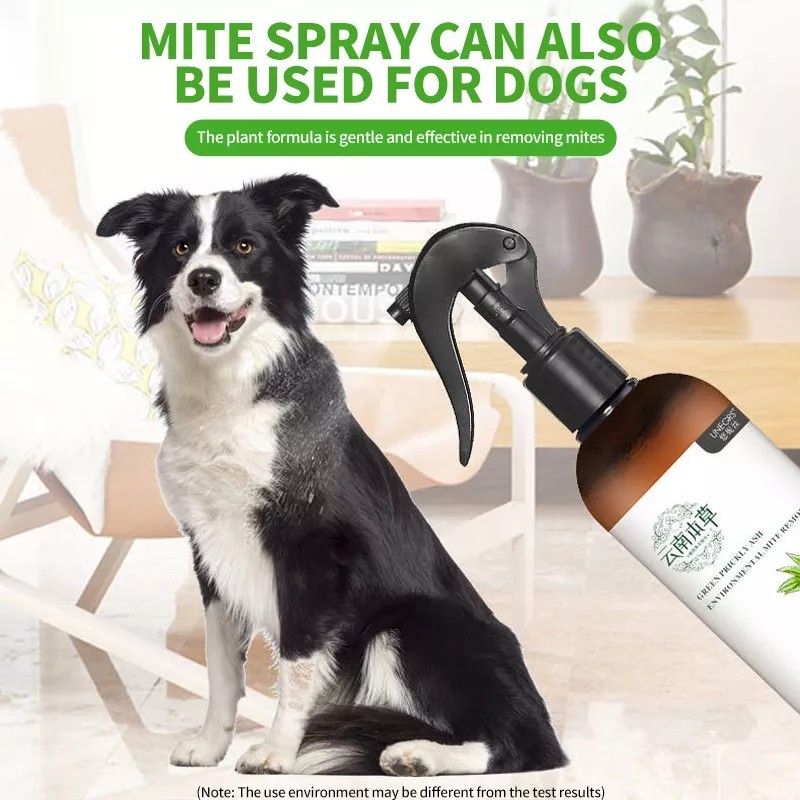 BN Dust Mites Remover Spray, Furniture & Home Living, Cleaning