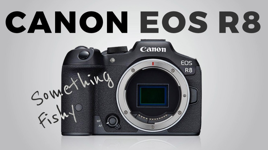 Canon EOS R8 (RF2450mm F/4.56.3 IS STM) kit OR BODY ONLY, Photography