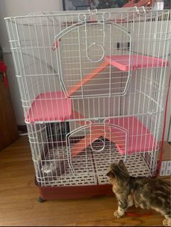 (Category: ) located in . Submitted by greeneyemonkster (Listing ID 1227224791, Image 1). Description: .