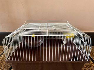CHEAP hamster brown cage/carrier $20  🐹Condition: 9/10 (only got abit of bite marks on the metal, the rest all ok) 🐹Includes wheel, bottle and food dish 🤝🏻 Can nego but not too low