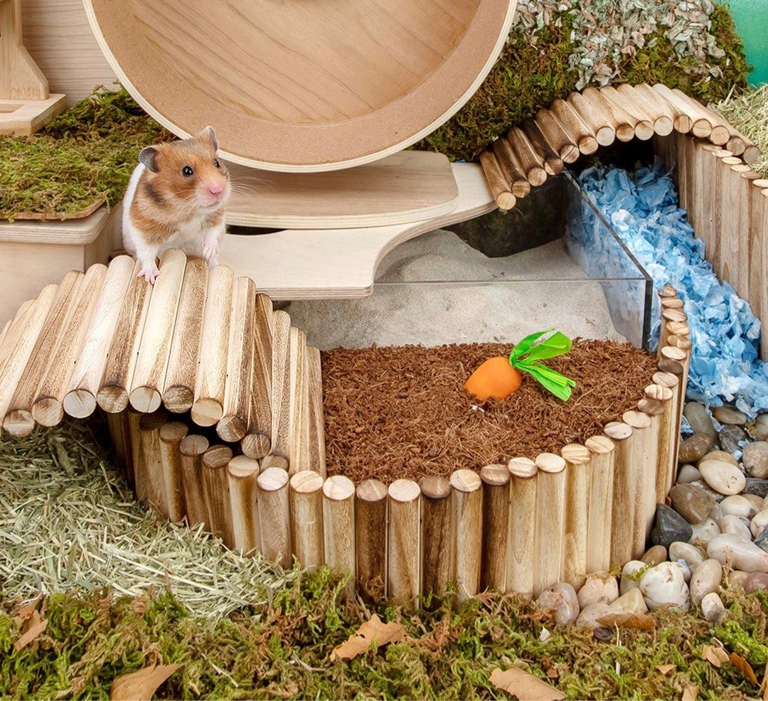 Coco Peat for hamster Heat sterilised and natural layout design theme