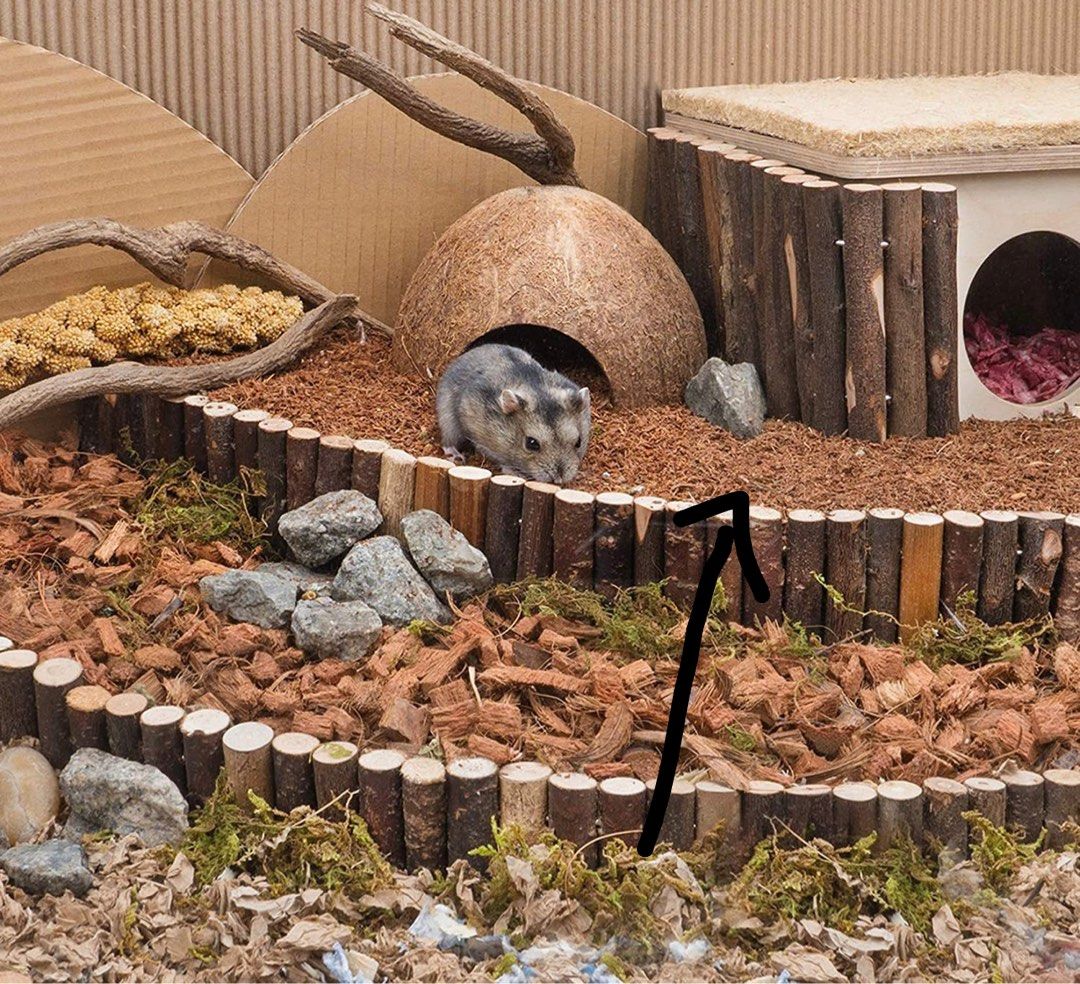 Coco Peat for hamster Heat sterilised and natural layout design theme ...