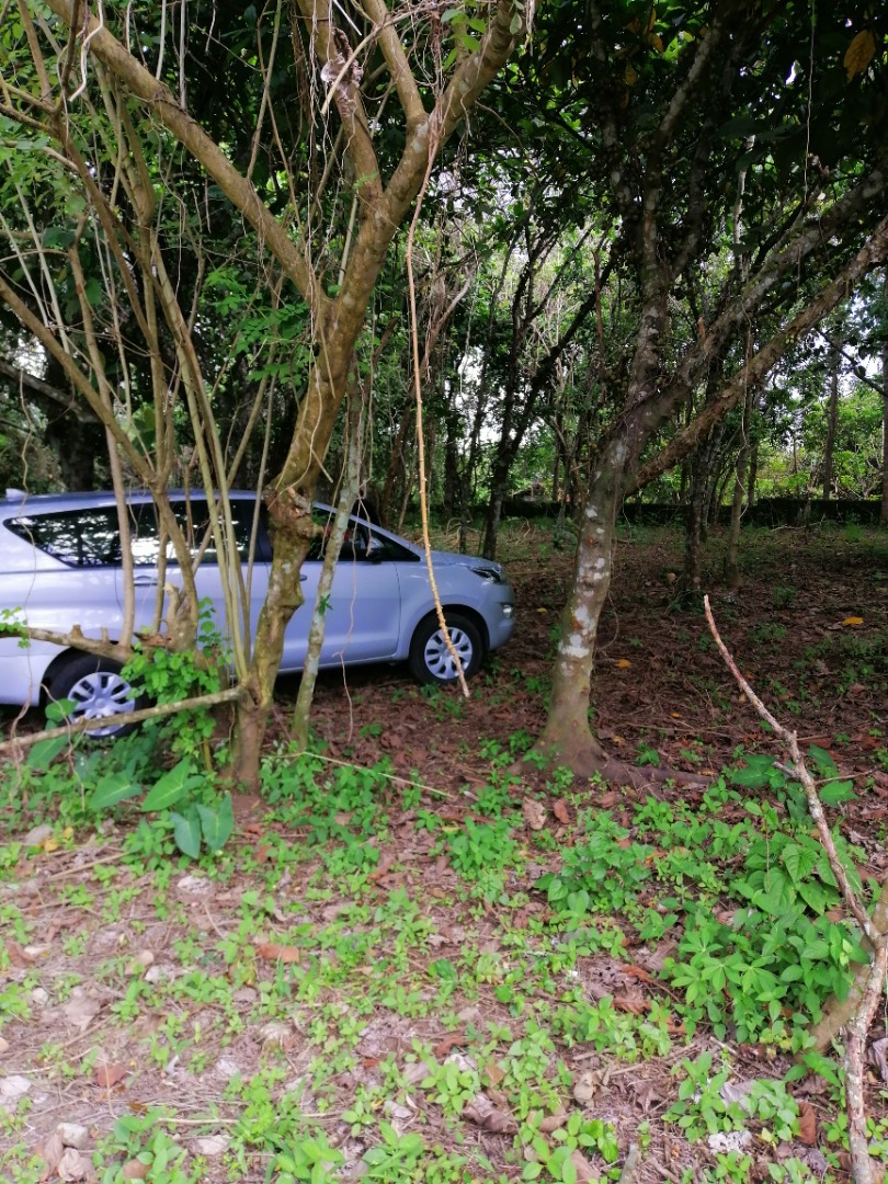 Farm Property Rush Sale Balite 1 Silang Cavite, Property, For Sale