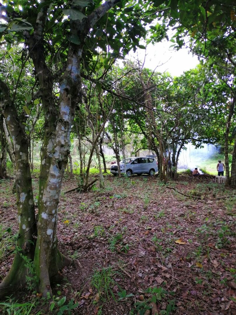 Farm Property Rush Sale Balite 1 Silang Cavite, Property, For Sale