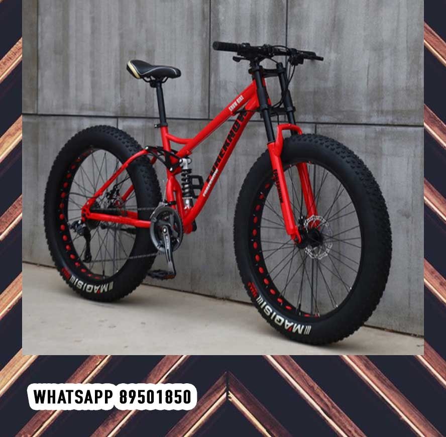 Fat bike store foreknow