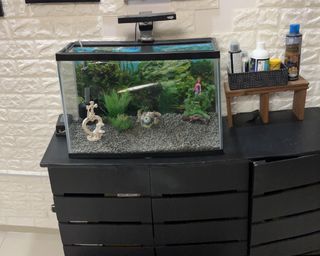 (Category: ) located in . Submitted by kurimau (Listing ID 1227132919, Image 1). Description: .