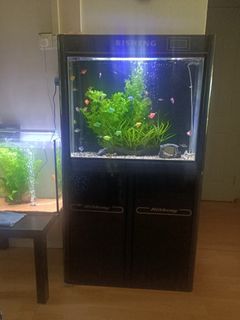 (Category: ) located in . Submitted by isskia (Listing ID 1226703155, Image 1). Description: .