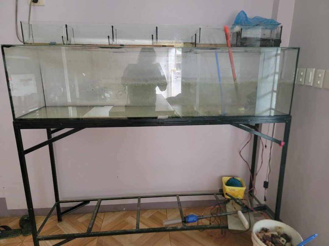FOR SALE 100G AQUARIUM WITH STAND SAN SAMP