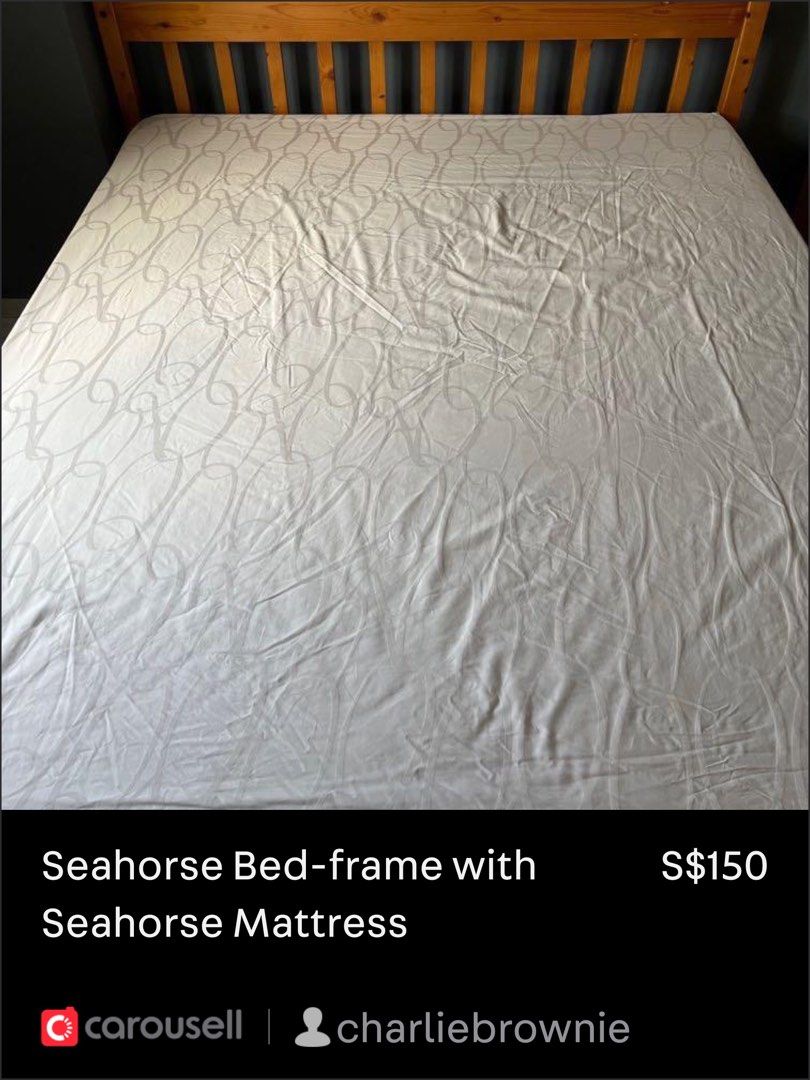 seahorse_queen_bed_frame_and_s_1681731334_84a9e8a6_progressive.jpg