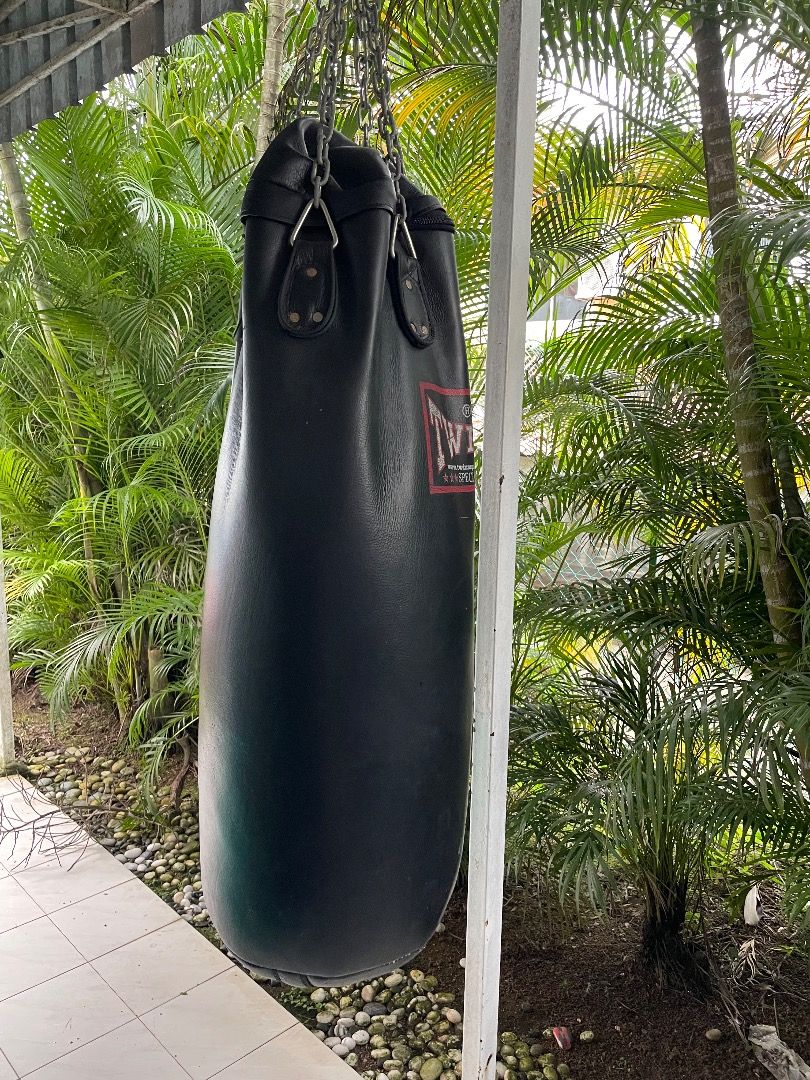 Twins best sale heavy bag
