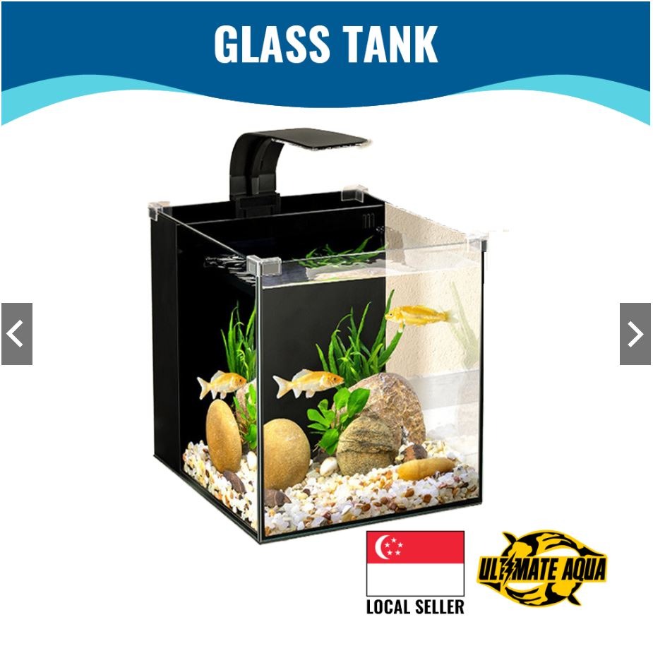 YEE 3 In 1 Back Filter Fish Tank Ultra Clear Glass, Pet Supplies, Homes