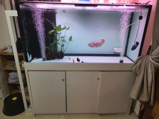 (Category: ) located in . Submitted by balaboy877 (Listing ID 1227236872, Image 1). Description: .