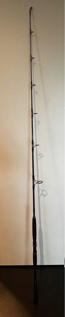 Daiwa Monster Mesh Spinning Rod, Sports Equipment, Fishing on