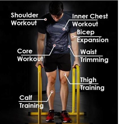 Gym equipment best sale for dips