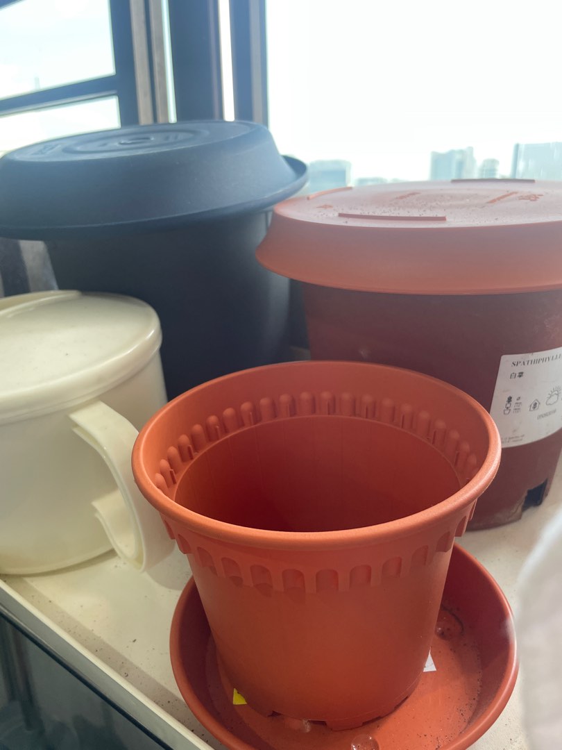 FREE Plant pots, Furniture & Home Living, Gardening, Pots & Planters on