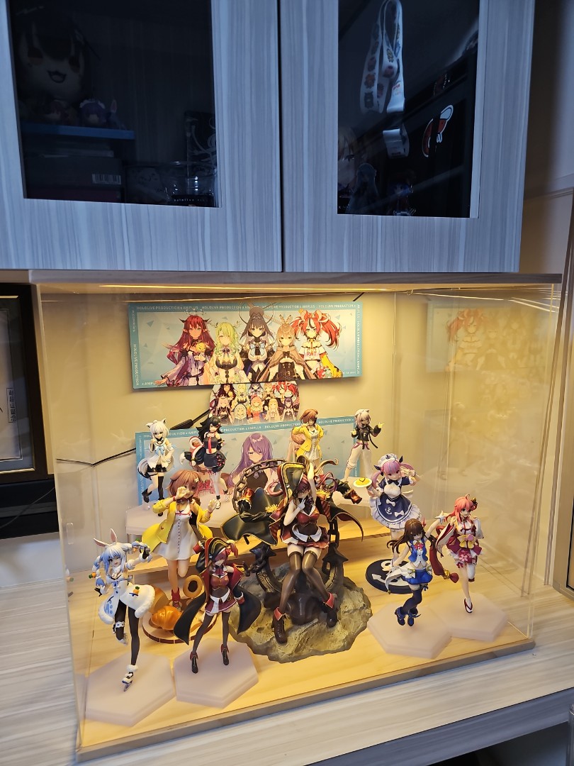 Bought a new display case black one Now I need to buy leds for it  r AnimeFigures