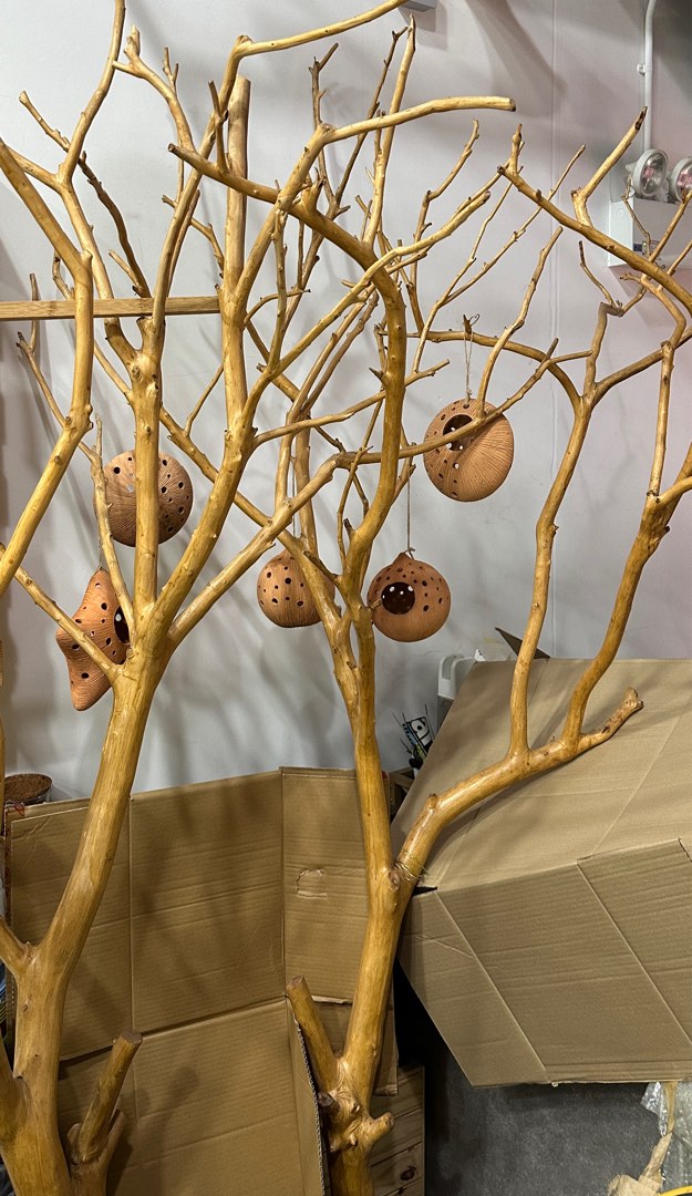 Natural Tree branches, Furniture & Home Living, Home Decor, Other Home