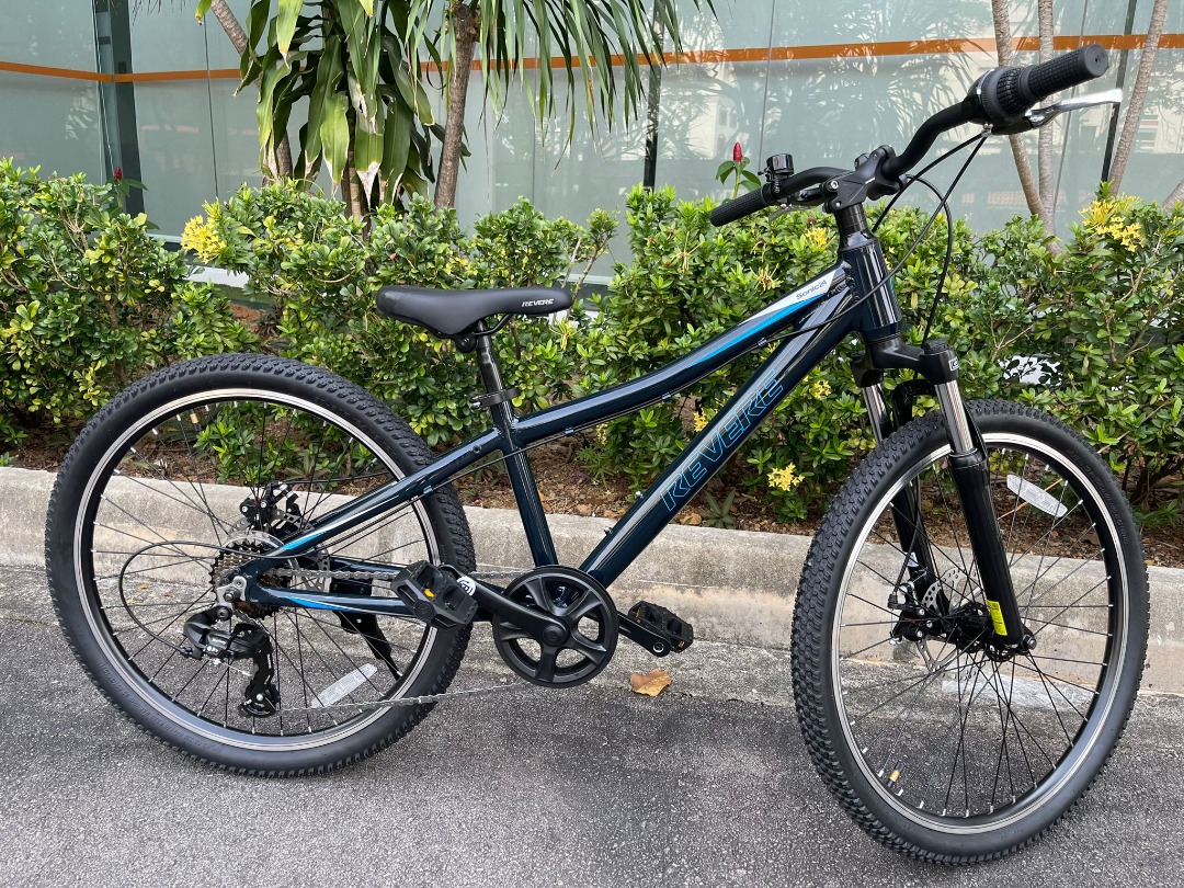 Sonic bike on sale 18 inch