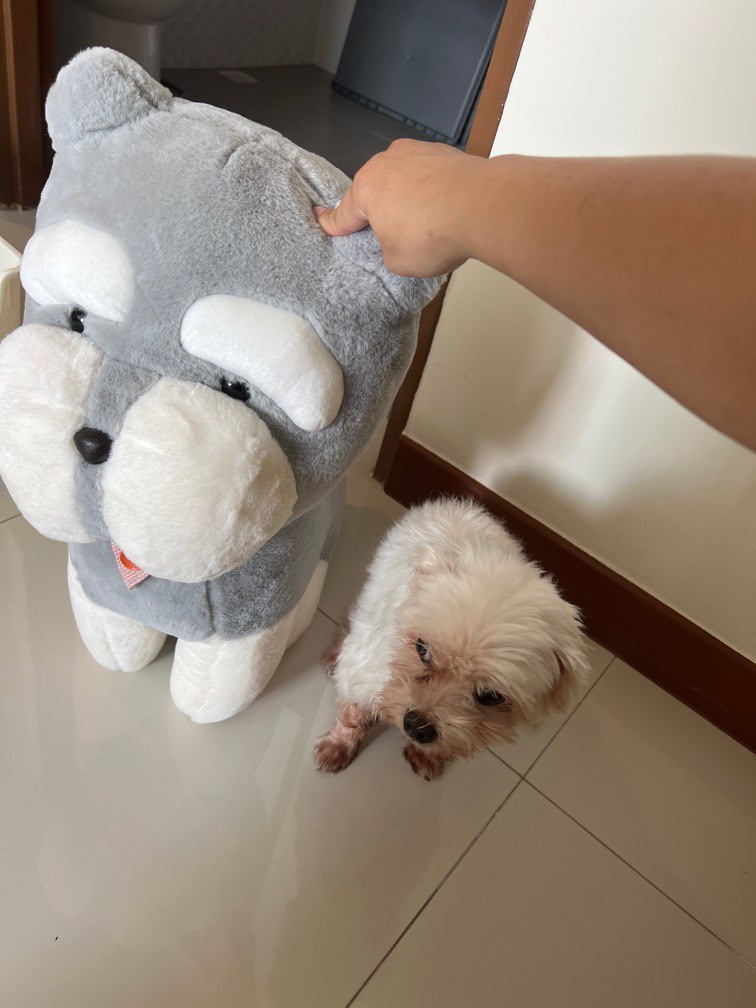 Soft Toy big, Hobbies & Toys, Toys & Games on Carousell