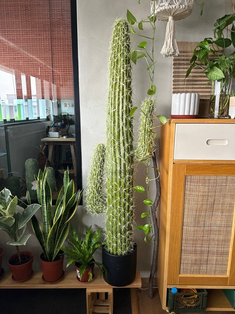 Tall Artificial cactus, Furniture & Home Living, Home Decor, Artificial