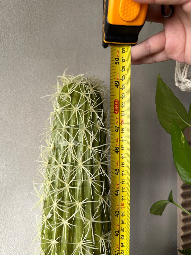 Tall Artificial cactus, Furniture & Home Living, Home Decor, Artificial