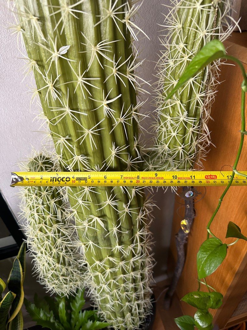 Tall Artificial cactus, Furniture & Home Living, Home Decor, Artificial