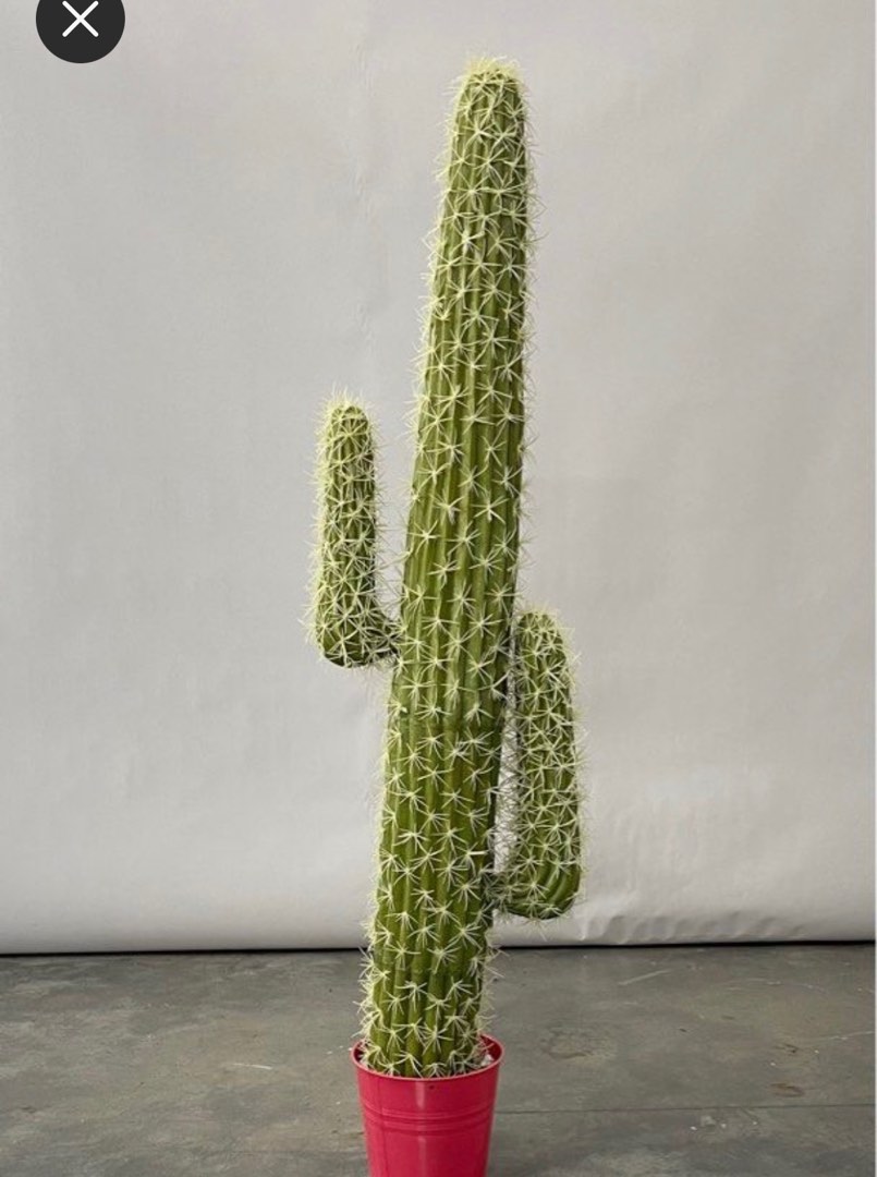 Tall Artificial cactus, Furniture & Home Living, Home Decor, Artificial