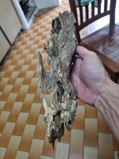 (Category: ) located in . Submitted by THEAGARWOOD (Listing ID 1227322897, Image 1). Description: .