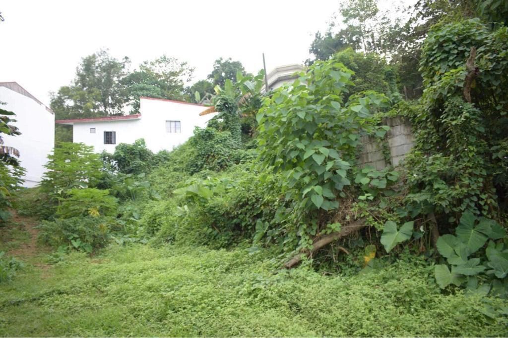 ANTIPOLO Victoria Valley Subdivison Property768 sqms lot, Property